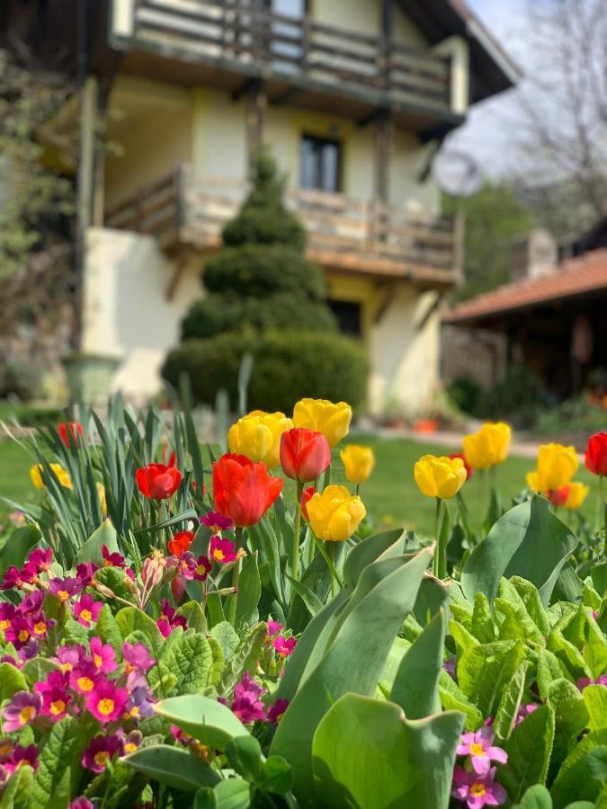 Vila Djordjevic - Priroda Vas Okruzuje Brus Esterno foto